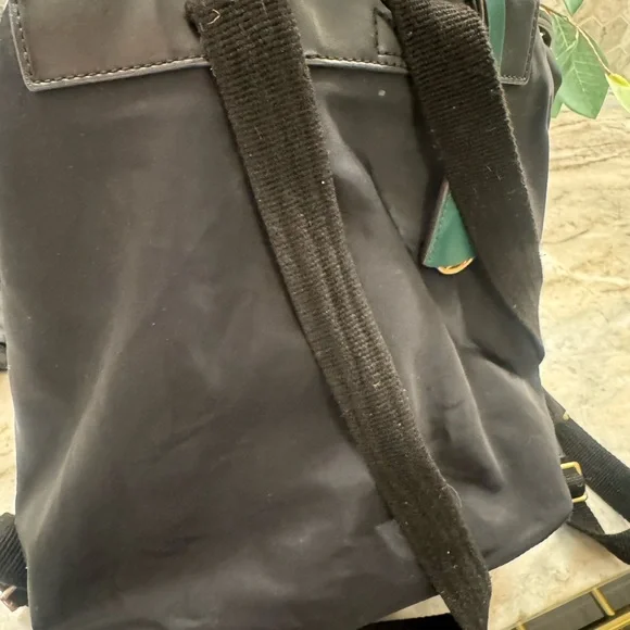 Black Backpack with Gold Accents - Picture 5 of 5